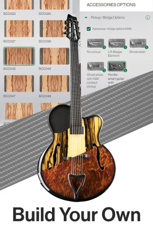 Emerald guitars kestrel, archtop guitar - carbon fiber