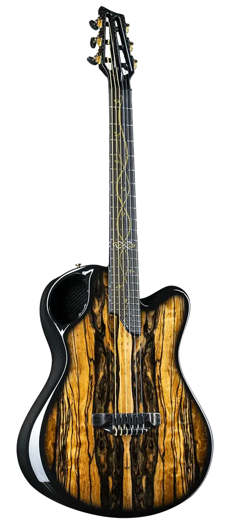x20 nlyon carbon fiber guitar