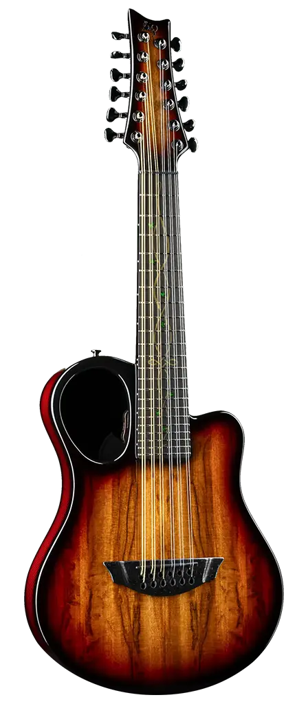 amicus 12 string carbon fiber guitar