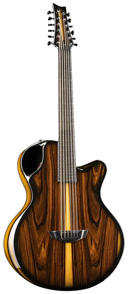 x30 12-string jumbo carbon fiber guitar
