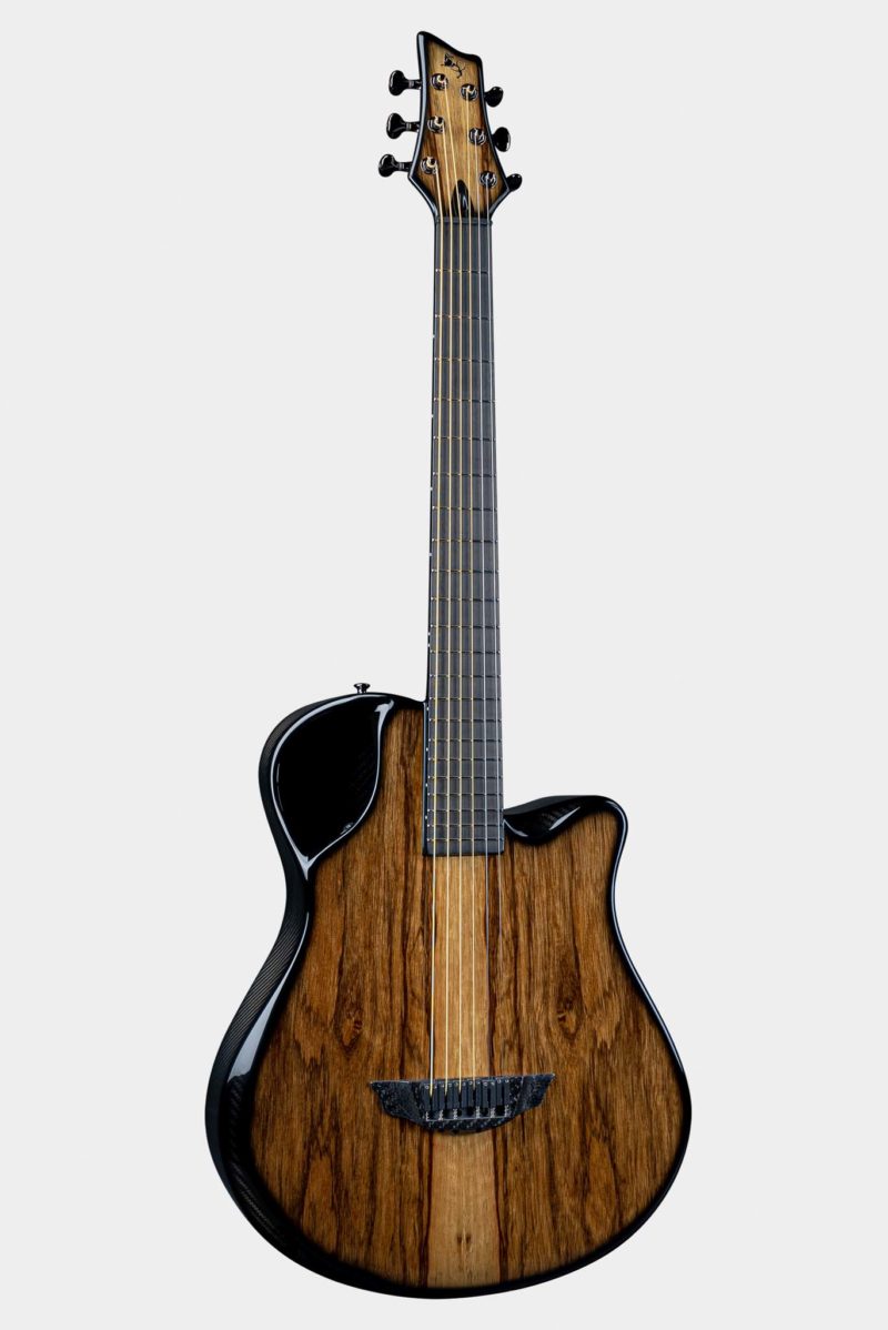 X10 acoustic guitar with black limba wood finish