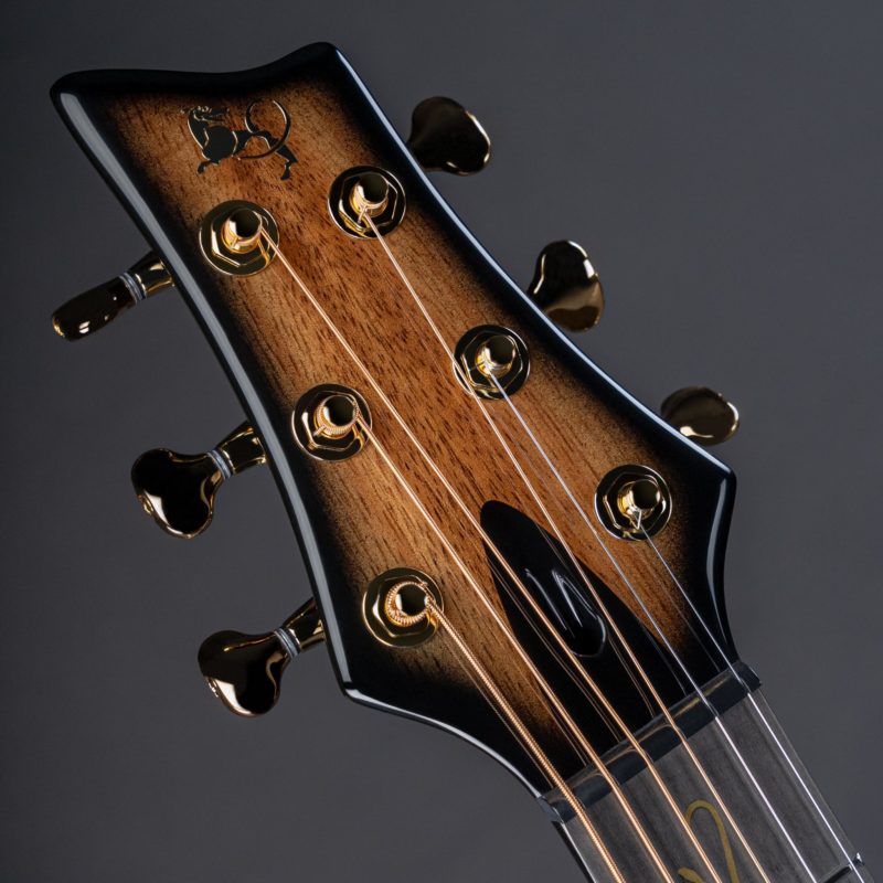 X10 Koa guitar string and tuning pegs detail