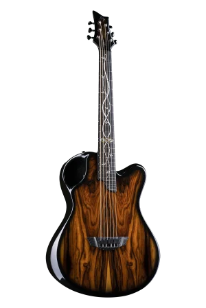 X20 Koa