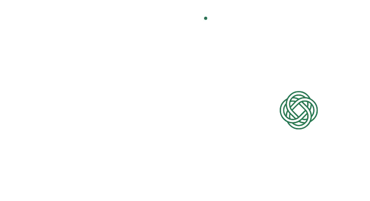 Promotional image for the Emerald Guitars Ambassador Program with the brand's distinctive logo and an invitation to try an Emerald Guitar locally