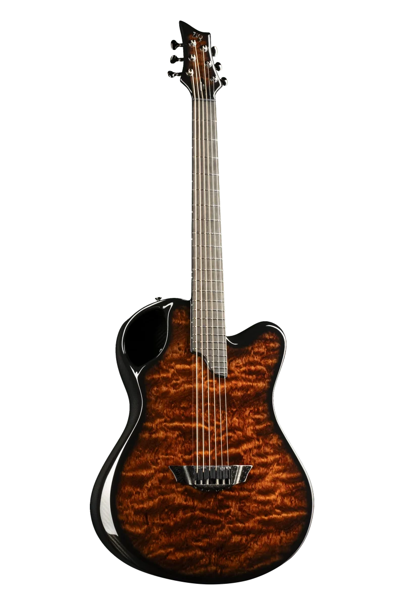 Ergonomic X20 guitar with Kewazinga veneer and custom Hiscox hard case