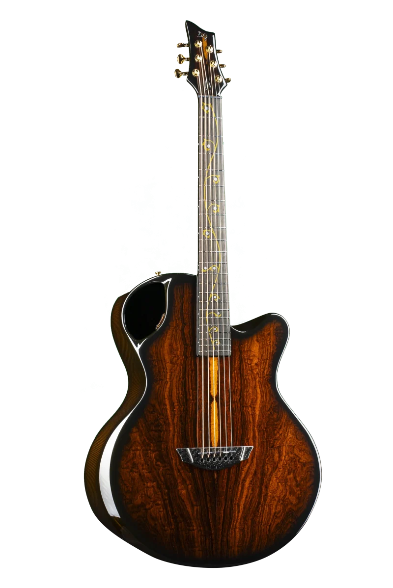 Emerald X30 Cocobolo acoustic guitar