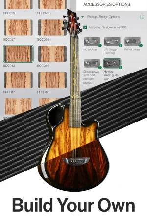 emerald guitar x10 carbon fiber guitar