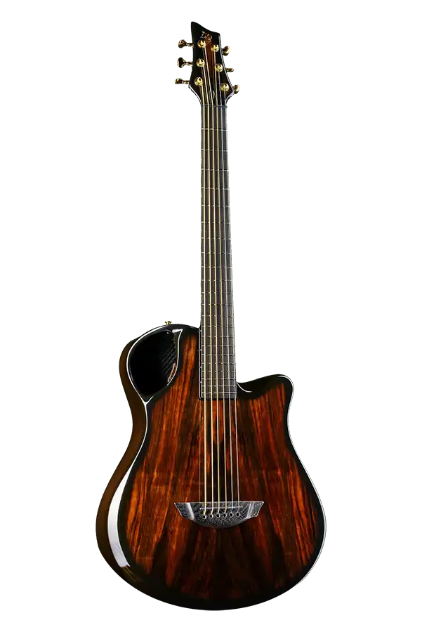 emerald guitar x10 carbon fiber guitar