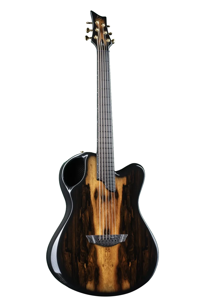 X20 Ziricote - Emerald Guitars