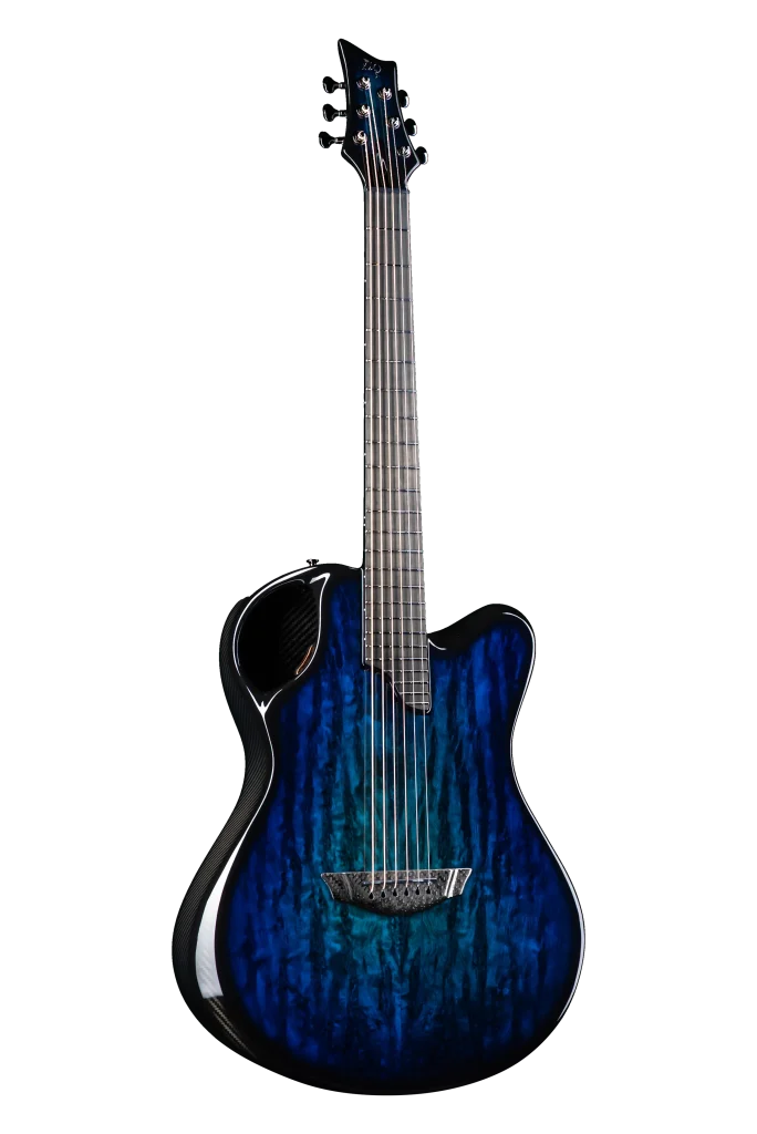 鬼レア　Meridian Guitars / Fank-u-later 鬼レア Meridian Guitars / Fank-u-later 鬼レア Meridian Guitars