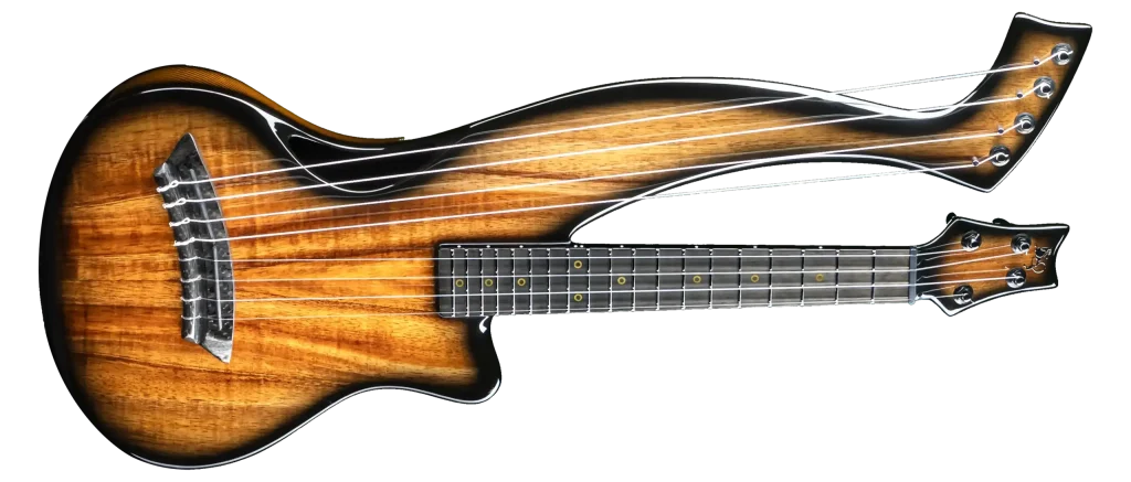 1011500003 copy scaled copy