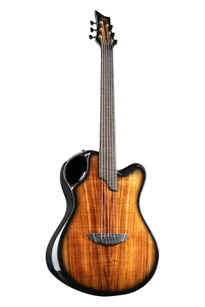 X20 Koa