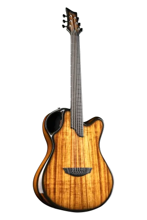 X20 Koa