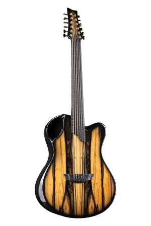X20-12 String Royal Ebony