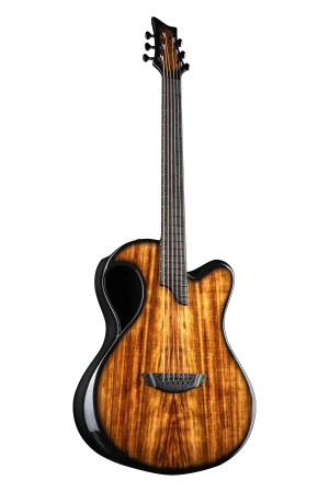 X20 Koa