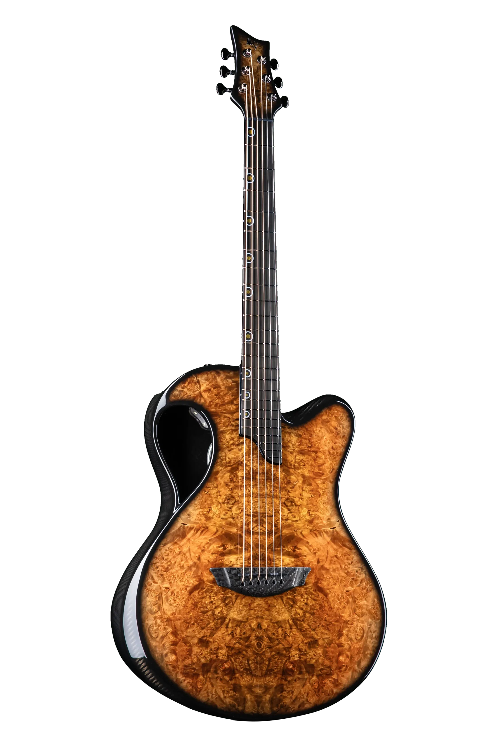 X20 Maple Burl
