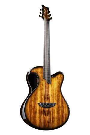 X20 Koa