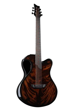 X20 Crotch Maple