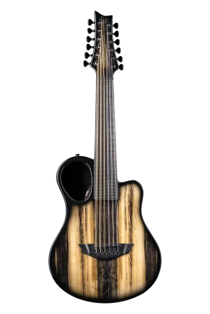 Amicus Harborica