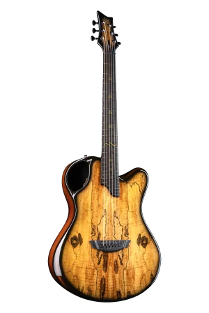X20 Flamed Spalted Maple