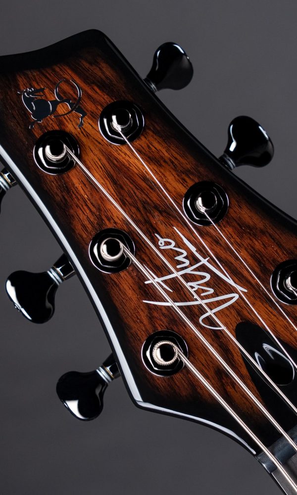 (S) Virtuo Indian Rosewood 6970-6