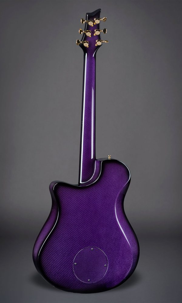 S-Virtuo-Vib-Purple-GoldLeaves-8186-b