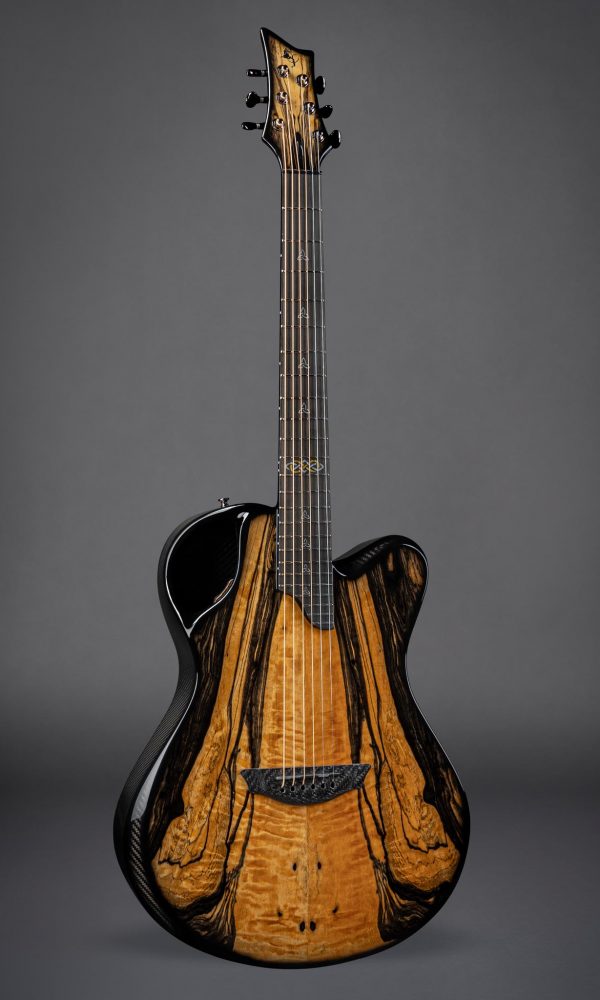 (S) X20 R-Ebony (Ele,Trinity) 7551-1