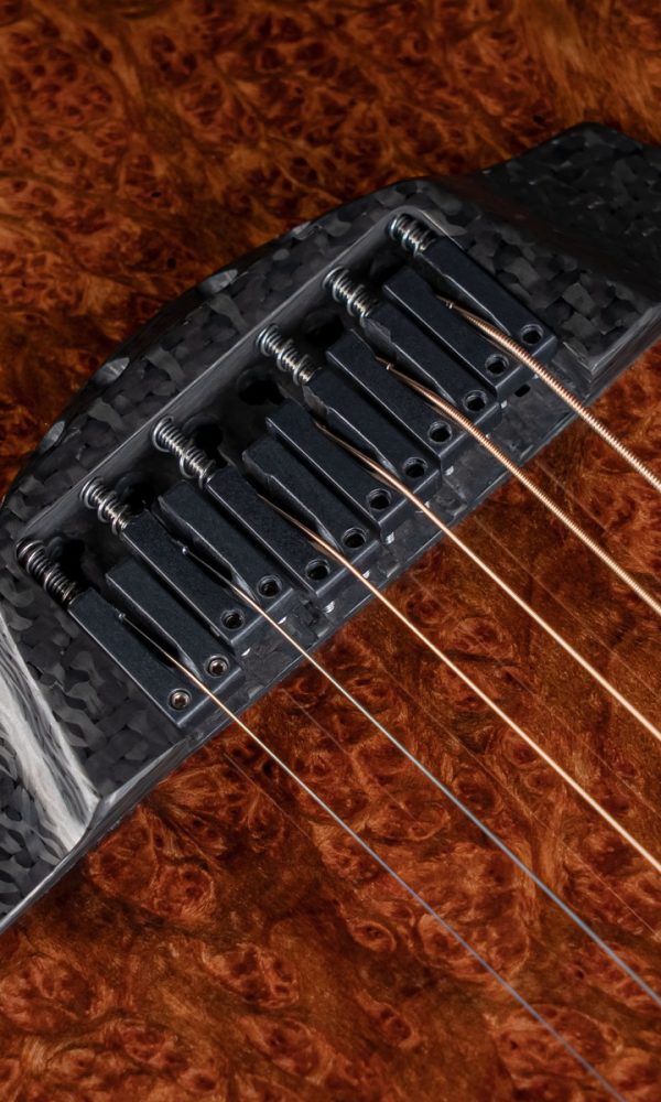 X10-Sl Vib Redwood Burl (Gh,Mag) 8159-9